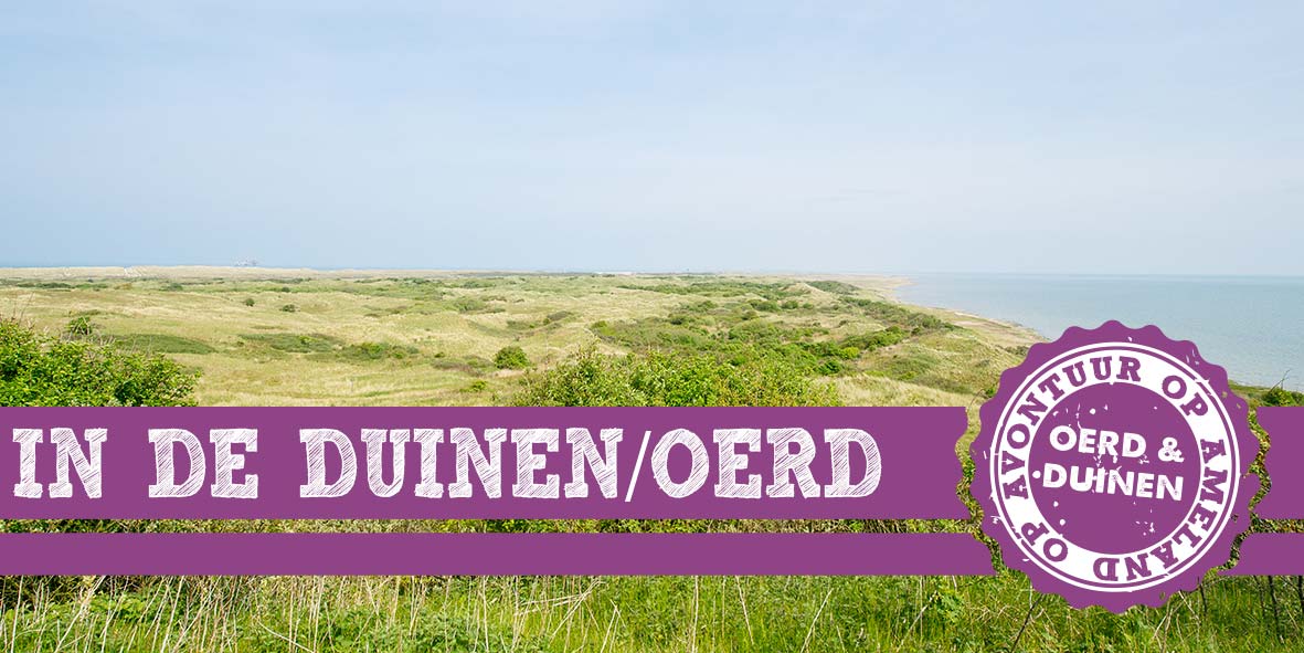 thema-9-oerd-duinen